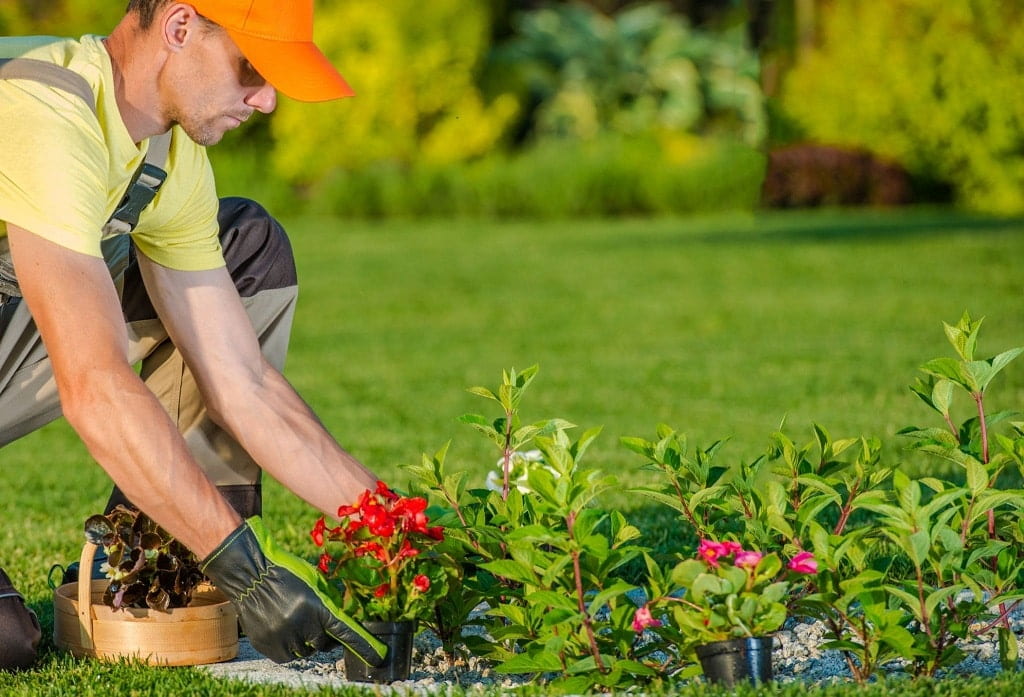 landscaping-services-toronto